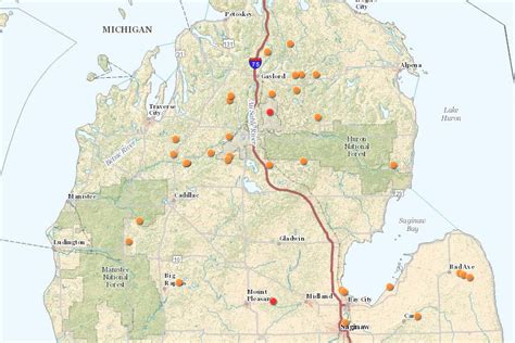 Find Michigan's best morel hunting grounds with DNR forest fire map | MLive.com