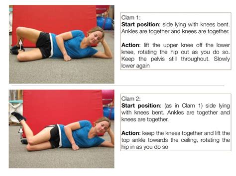 Gluteus Medius eccentric exercises | Eccentric exercise, Gluteus medius ...