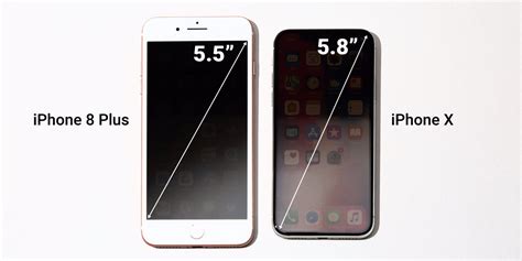 iPhone X screen size versus iPhone 8 Plus - Business Insider