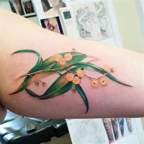 Mick Medusa tattoo & laser on Instagram: "Some wattle and gum leaves from yesterday......so much ...