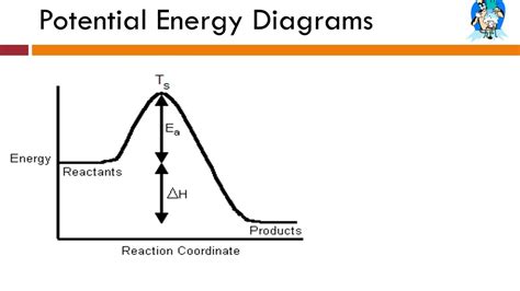 Potential Energy Diagrams Answer Key