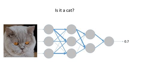 Artificial Neural Networks: What they are and how they’re trained | Xeridia