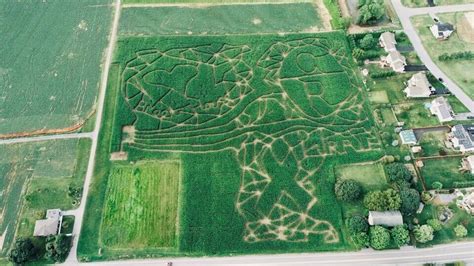 Celebration Farm - Corn Maze - Hagerstown, Maryland