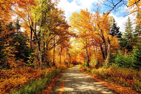 When Is the First Day of Fall? Fun Facts About the Fall Equinox | Reader's Digest