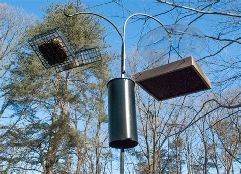 Right Way to Baffle Feeders on a Pole - Birdseed & Binoculars