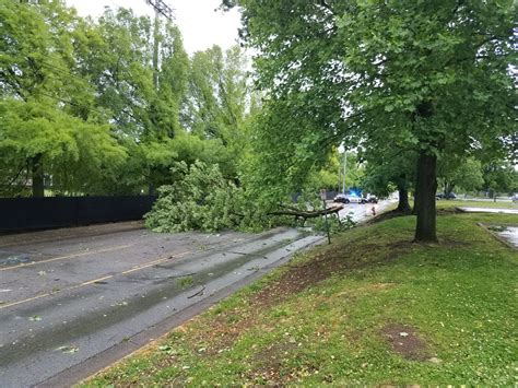 PHOTOS: Storm damage across Tennessee | WJHL | Tri-Cities News & Weather