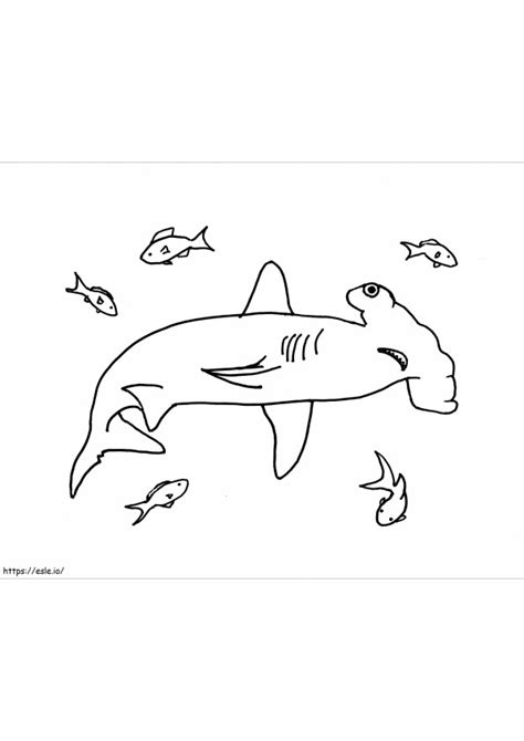Hammerhead Shark face coloring page
