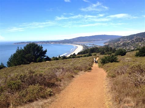 muir woods: hiking the dipsea trail to stinson beach | Well-Traveled Wife