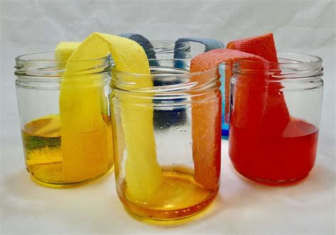 FREE Capillary Action Experiment