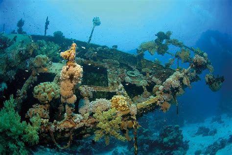 Top 4 Best Red Sea Diving Destinations