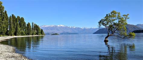 Wanaka Travel Guide (Updated 2024)