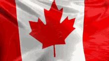 Canada Flag GIF - Canada Flag Wave - Discover & Share GIFs