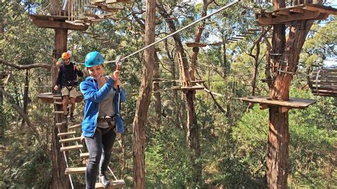 Tree Surfing at the Enchanted Adventure Garden, Tour, Mornington Peninsula, Victoria, Australia