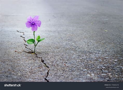 Hope Photos and Images | Shutterstock