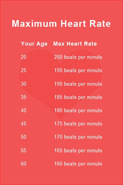 Basic Heart Rate Chart