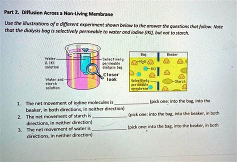 Dialysis Tubing Diffusion