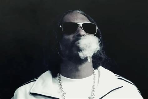 Snoop Lion News