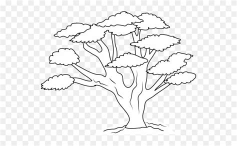 Download and share clipart about Narra Tree Clipart Black And White - Раскраска Баобаб, Find mor ...