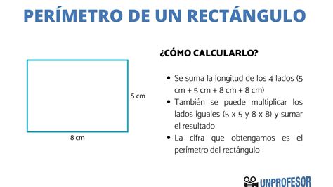 Calcular Las Dimensiones De Un Rectangulo Cuyo Perimetro Mide Metros ...