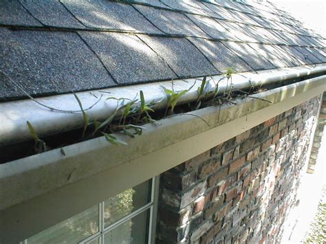 Types of Gutter Guards | All American Gutter Protection