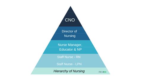 The Hierarchy of Nursing – FRESHRN