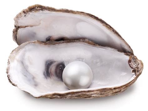 Beautiful Oyster Pearl