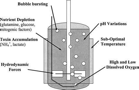 Factors that cause cell death in large-scale animal cell culture [97] | Download Scientific Diagram