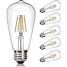 40W Edison Globe Light Bulbs - G40 Large Vintage Bulb, E26 Base, Spiral Filament, Fully Dimmable ...