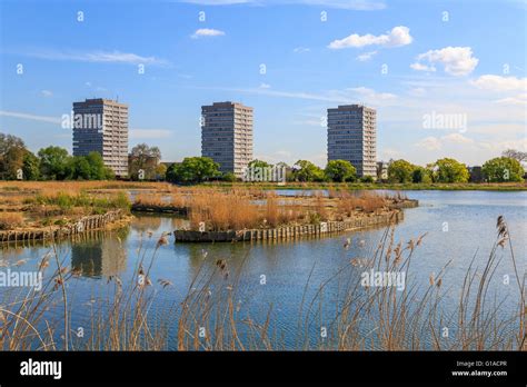 Newly-opened Woodberry wetlands nature reserve at Woodberry Down in London on a sunny day Stock ...