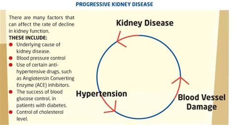 How Can Diabetes Cause Kidney Disease - DiabetesWalls