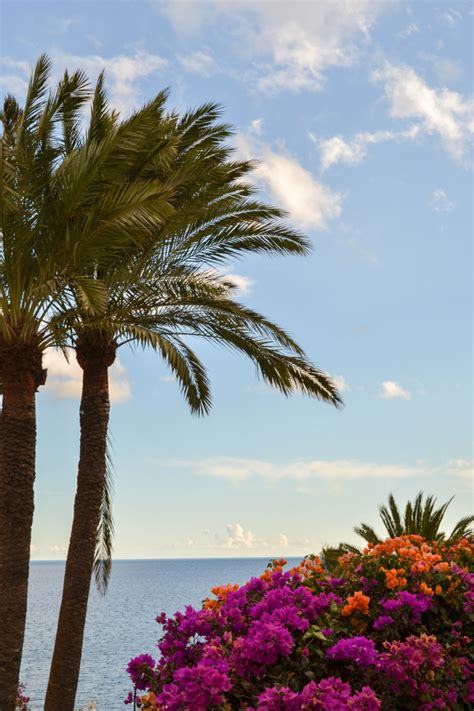 My Top 5 Beaches in Gran Canaria