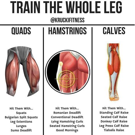 TRAIN THE WHOLE LEGS! For a solid approach to leg day, take this post ...