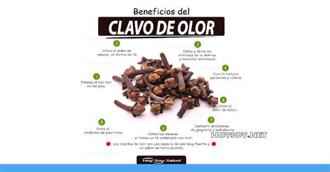 CLAVO de OLOR: Beneficios y Propiedades Saludable Revista Digital