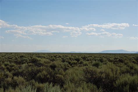 DSC_0257 - Open Plains Properties