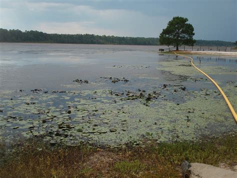 SOUTH GEORGIA KAYAK FISHING: Little Ocmulgee State Park - Spring ...