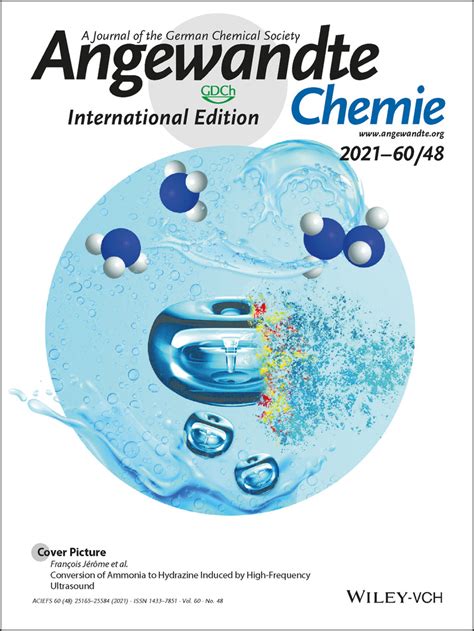 Angewandte Chemie International Edition: Vol 60, No 48