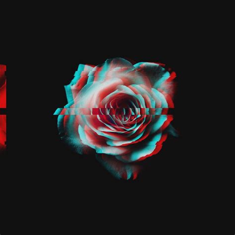 Rose Glitch Wallpapers - Top Free Rose Glitch Backgrounds - WallpaperAccess