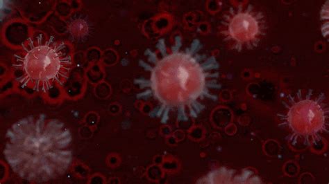 Covid 19 Virus Gif