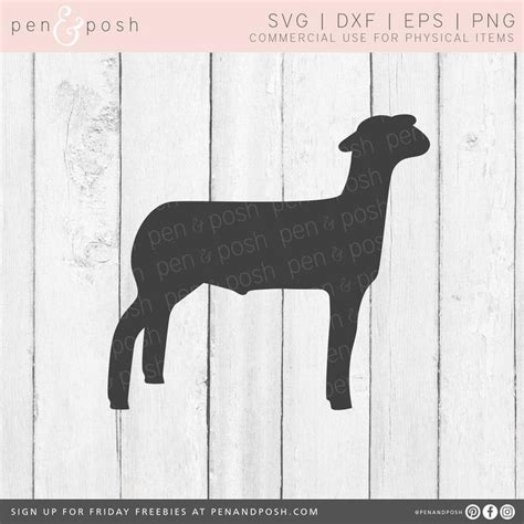 Show Lamb SVG Show Sheep SVG Lamb Clipart Market Lamb Market Lamb SVG ...