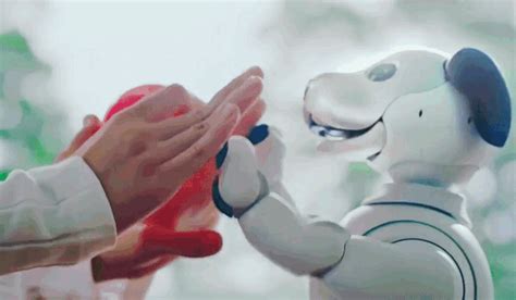 Sony Announces an Updated Edition of Their AIBO Robotic Dog Featuring ...