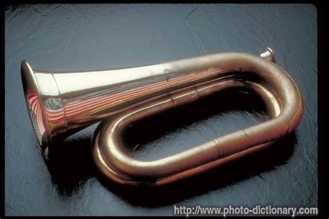 bugle - photo/picture definition at Photo Dictionary - bugle word and phrase defined by its ...