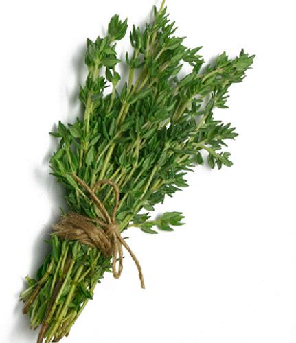 Spice of the Month: Thyme | Sargent Choice Blog