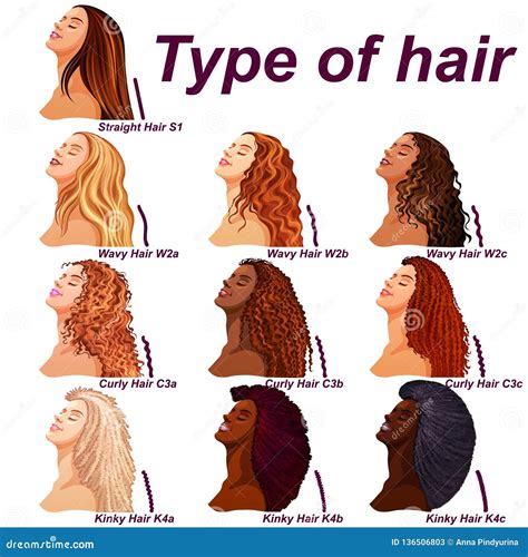 Hair Types Chart Displaying All Types And Labeled Stock Vector ...