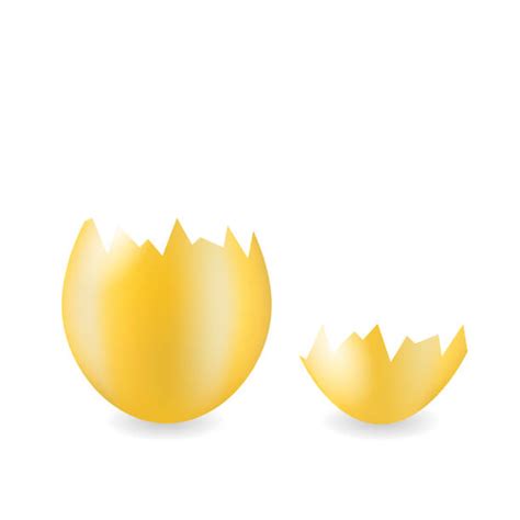 Egg Shell Pieces Illustrations, Royalty-Free Vector Graphics & Clip Art - iStock