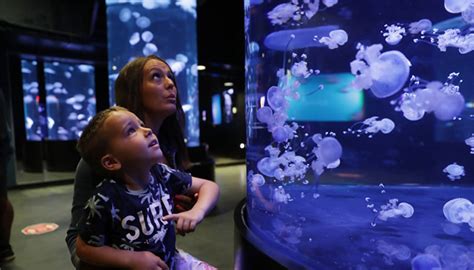 SMQ - Les musées du Québec - Aquarium du Québec