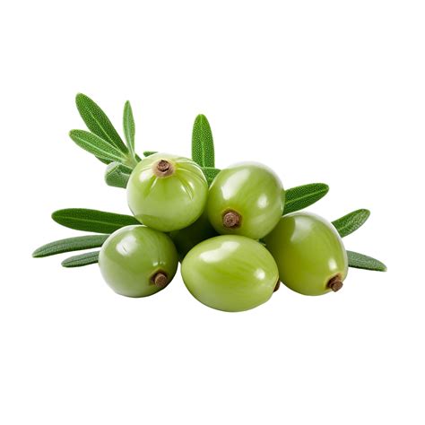 AI generated Fresh caperberries isolated on transparent background 36293443 PNG