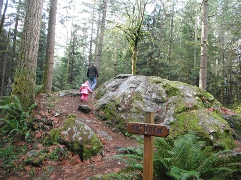 Big Rock Trail — Washington Trails Association