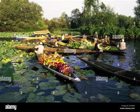 Floating market on Dal Lake at Srinagar in Kashmir India Stock Photo: 5847178 - Alamy