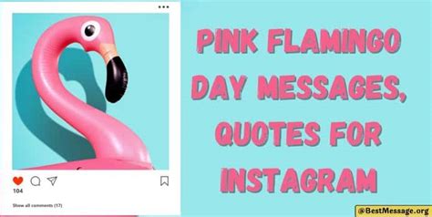 Pink Flamingo Day Messages and Quotes – Sample Messages