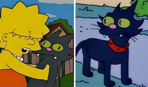 The Simpsons: What happened to The Simpsons' pet cat Snowball? | TV ...